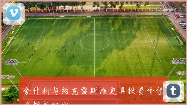 舍什科与约克雷斯谁更具投资价值分析与对比