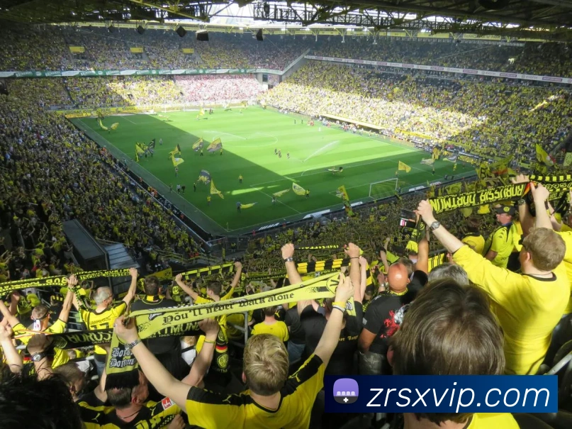 真人视讯平台生态图